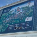 월드파크 | 비발드파크 루지월드 이용가이드 및 장단점 솔직후기