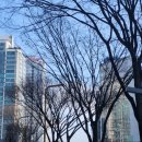 화곡보건분소 화장실 | 서울 혼자 뚜벅이 여행 경복궁 서촌엔딩