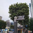 [서울대입구역] 충청삼겹 샤로수길 삼겹살 추천해요!