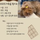 코코썬 - 용인시 수지구 신봉2로 2 | 코코썬