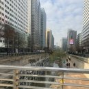 예지가맥 | 롯데호텔라세느 평일점심 망년회 후기