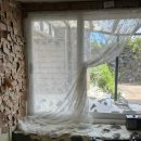 제주베스트상사 | 내 맘대로 제주 일기🍊🌴