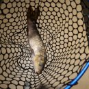 나까보까 실내낚시터 이미지