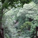 짚라인문경 이미지