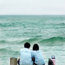 조연호 카카오 검색결과