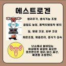 기본 필라테스&피티# 이미지