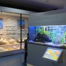 고성자연사박물관 이미지