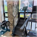 라임헬스 앤 피티 이미지