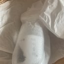 숲애아이 이미지