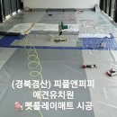 펫앤피플 이미지