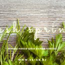 냠냠펫푸드 이미지