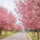 개심사공중화장실화장실 이미지