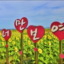 난정리(해바라기정원) 이미지