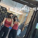 바디스케치