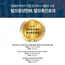 인셀덤발라또그룹