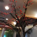 아사히일식 이미지