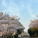 대흘보건진료소 이미지