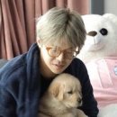 박은석 카카오 검색결과