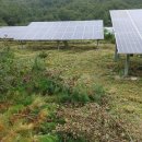 정예태양광 이미지