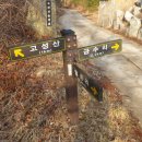 신라샘2 티스토리