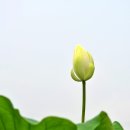정화수도원 이미지