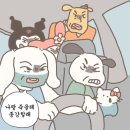 나돼지 이미지