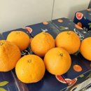 김용호 농장 이미지