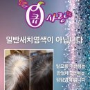 메트로팰리스2차B동 이미지