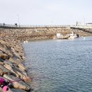 삼길포항 어촌마리나역 이미지