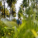 자연부화장 | 태국 호텔 추천 태국 1위 리조트 JW 메리어트 카오락 총정리