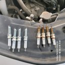 애니카랜드(오류점) 이미지