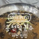 [제천 맛집] 시원하고 깔끔한 막국수 맛집, 제천 용천막국수 후기