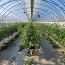 비히트 | 청양 토마토하우스 공기열 히트펌프 직접 설치 후기