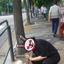 쓰담에듀