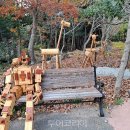 완도수목원