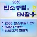 EM교육 이미지