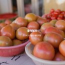 생약상회