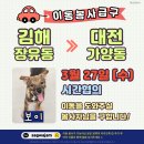 🚙 3.27(수) 김해 장유👉🏻대전 "보이" 이동봉사자님 찾습니다🥲🫶🏻 이미지