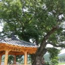 개울한옥민박 이미지