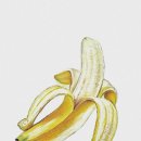 오일파스텔화 기초 과정 이미지