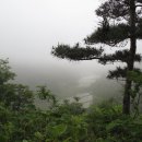 청풍천 Daum카페