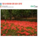 (유)한마음고속관광 이미지