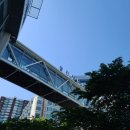 [홈트여신] 황아영과 함께하는 10분 요가 | 코시국 여름에 즐길 수 있는 광진 여행 추천 _ 홈캉스편 (2)