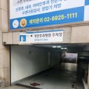역삼다인약국 | 강남 이비인후과 만성 부비동염 진료 수술 상담