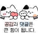 뮤앤 디자인 이미지