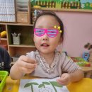 세성유치원 이미지