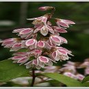 마음의 양식 이미지