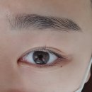 연신내 속눈썹펌 눈썹함다 비포애프터 후기
