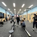 크로스핏베어 이미지