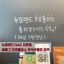 뉴질랜드 1642 서면점